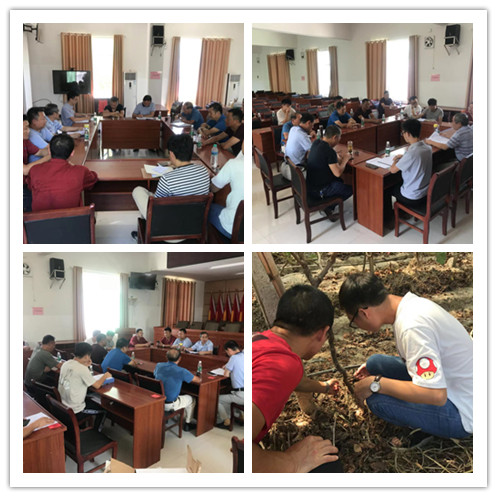 图片1.jpg 图片1.jpg