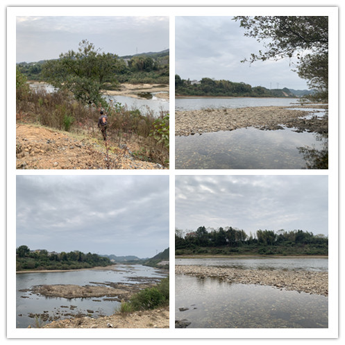 图片2.jpg 图片2.jpg