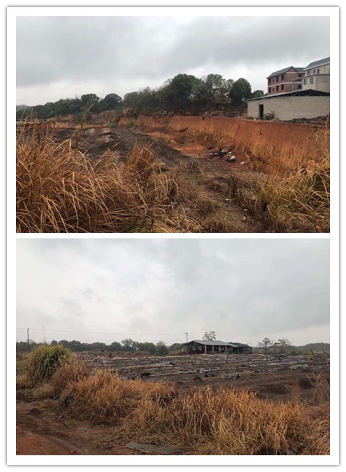 图片2.jpg 图片2.jpg