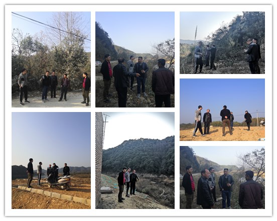 图片1.jpg 图片1.jpg