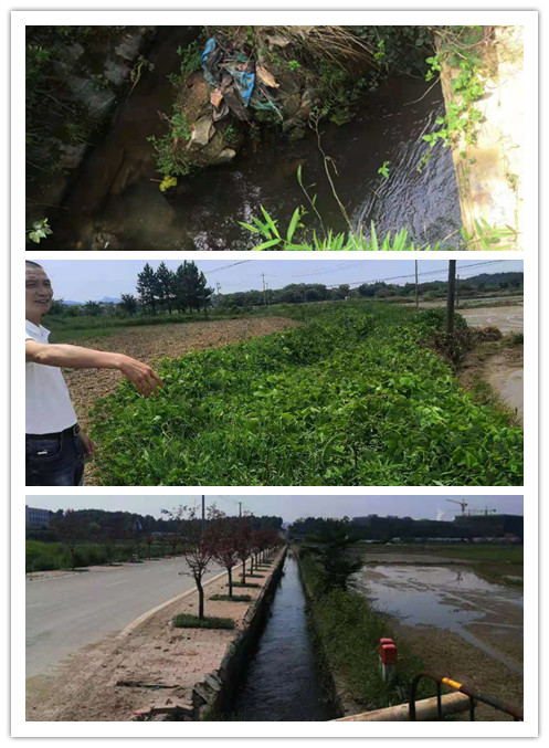 微信图片_2021062415423_副本.jpg 微信图片_2021062415423_副本.jpg